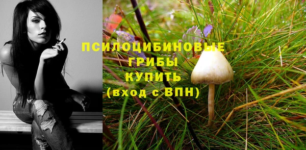 а пвп мука Алексеевка