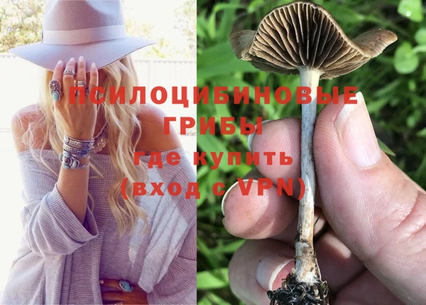крисы Заволжье
